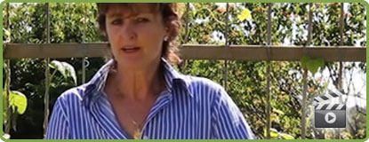 View our GreenSmart Pots Introductory Video